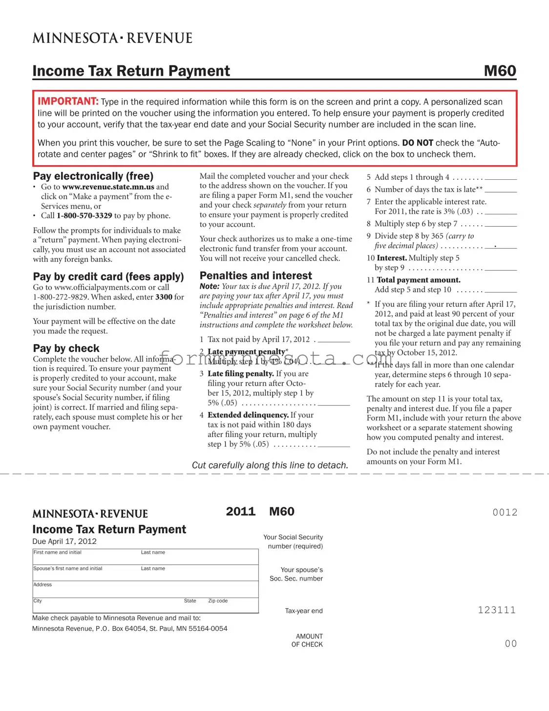 Mn Tax Return Payment Template
