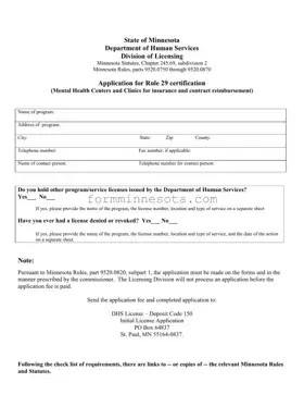 Mn Rule 29 Template