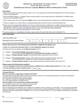 Mn Self Certification Template